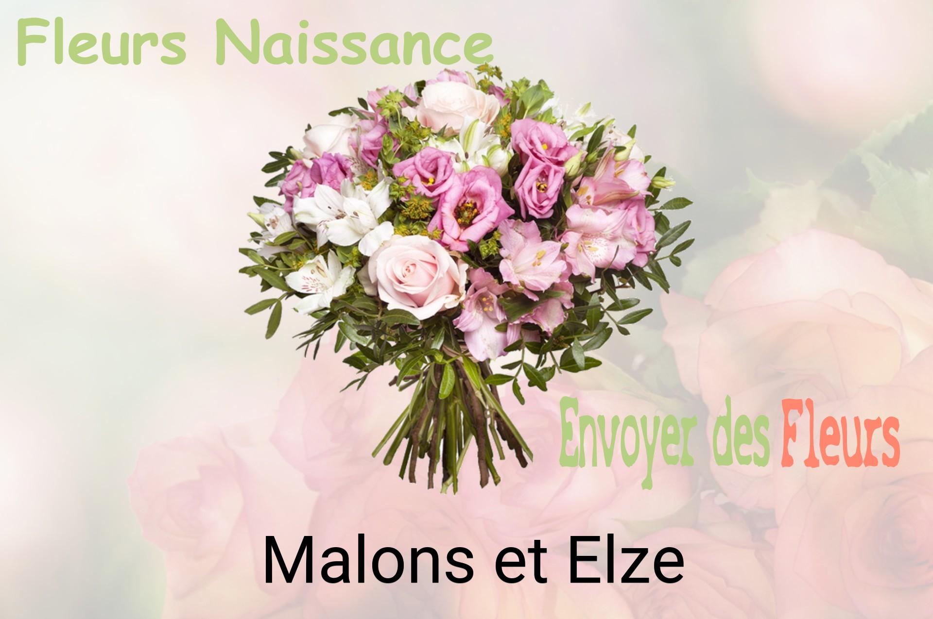 Bouquet de fleurs de naissance livré à Malons-et-Elze